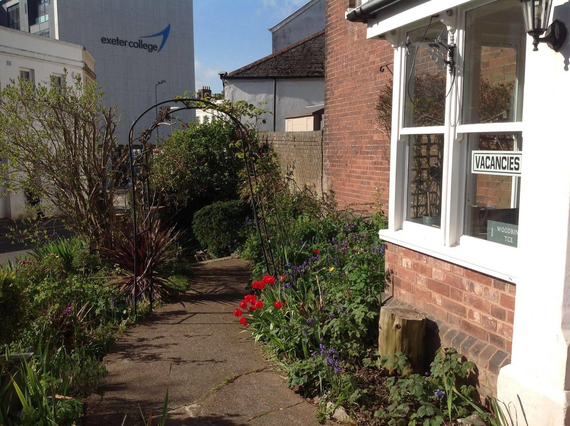 Woodbine City Rooms Exeter Exteriér fotografie